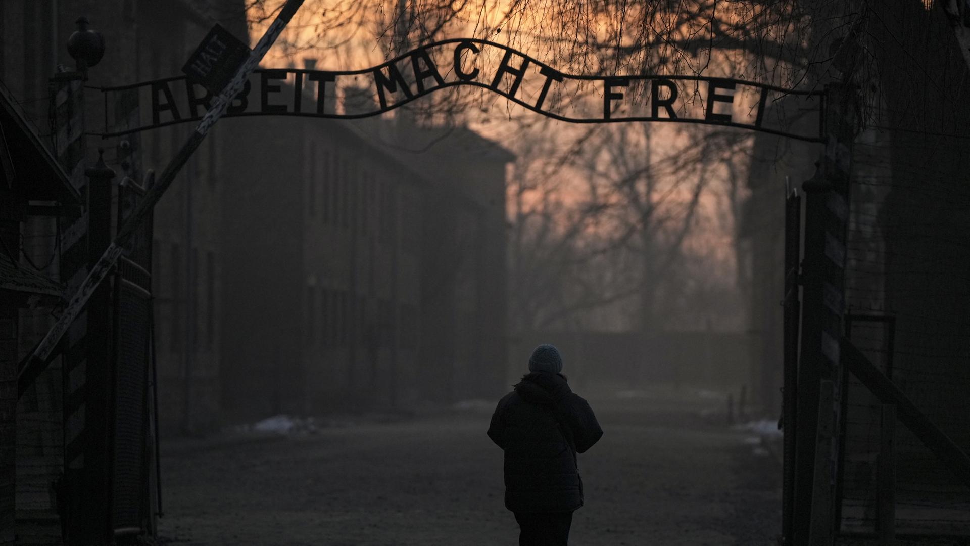 auschwitz schriftzug 100