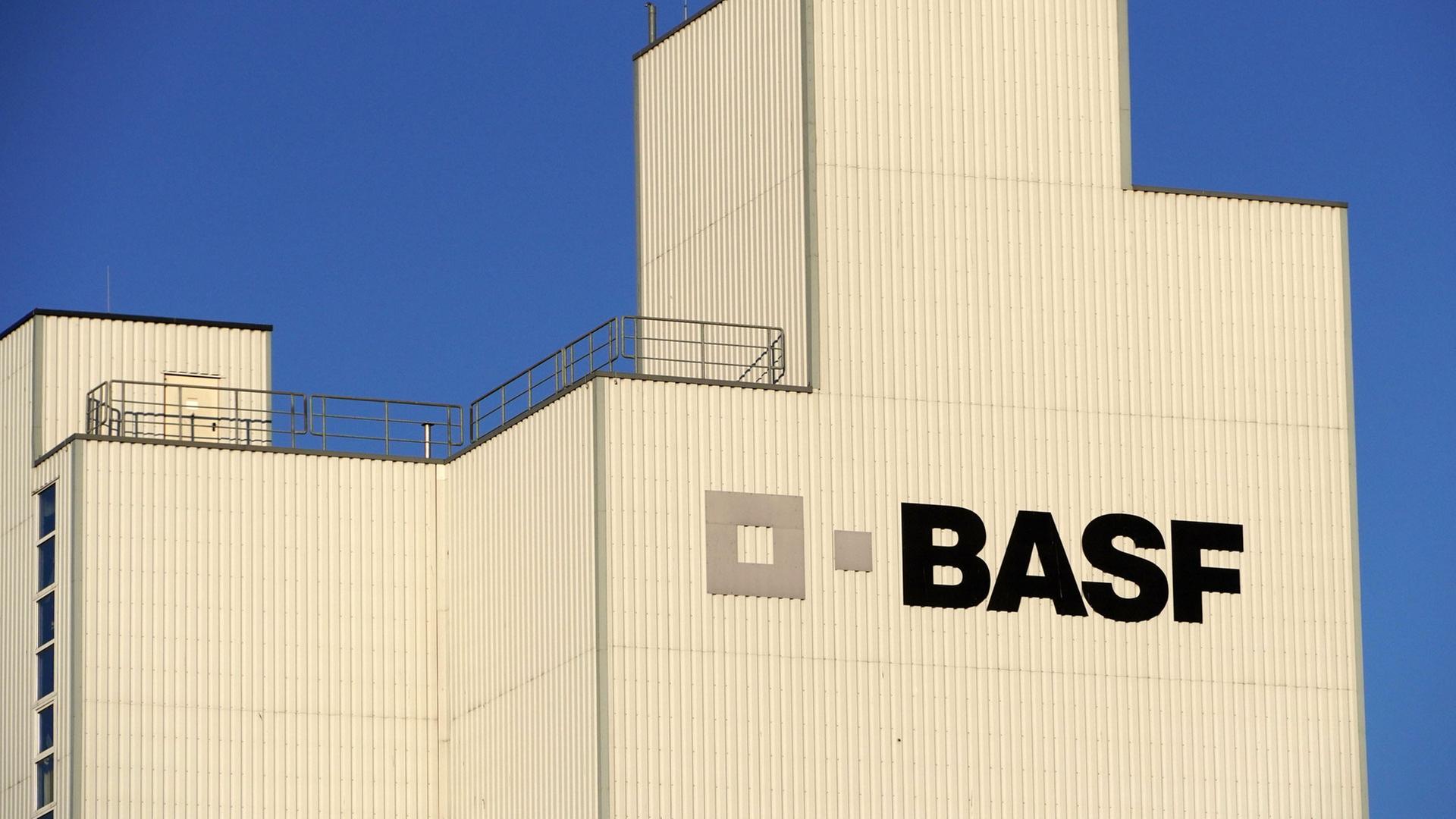 basf 170