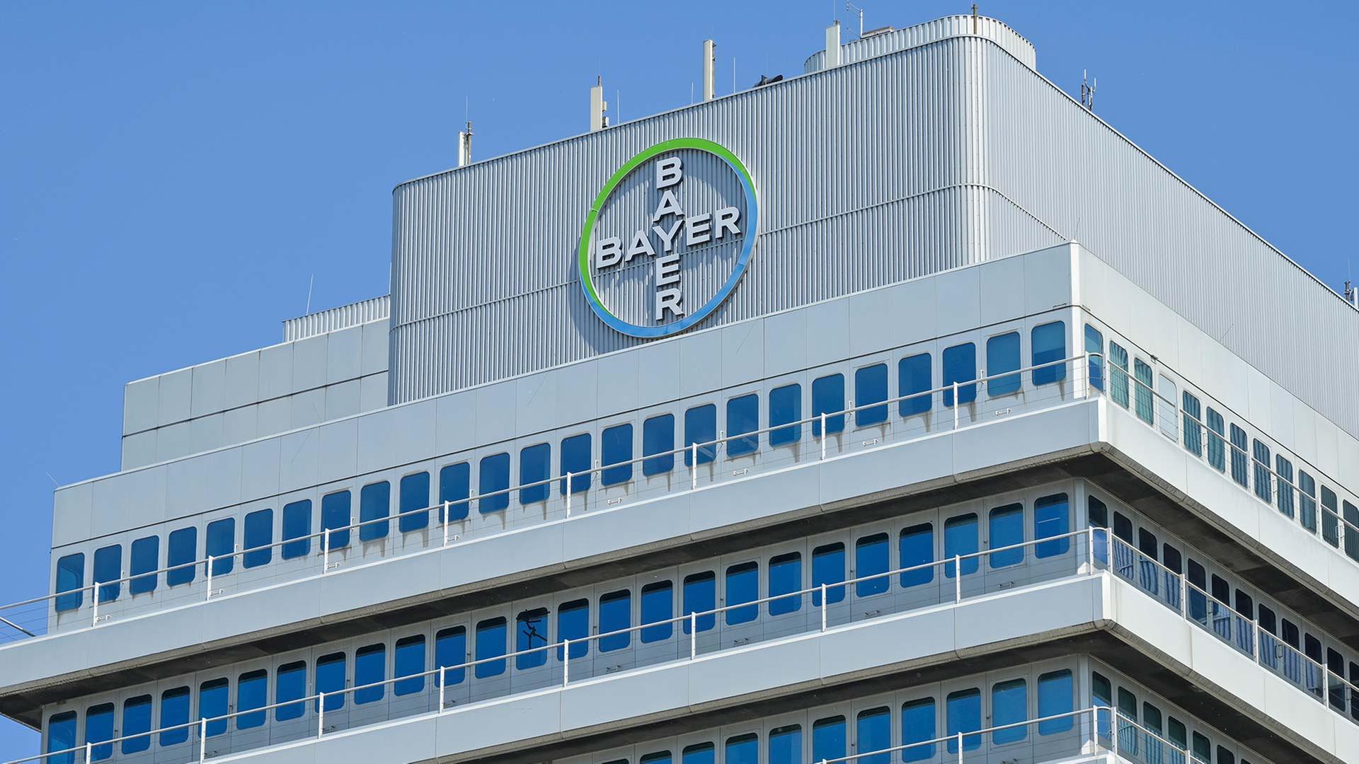 bayer 202