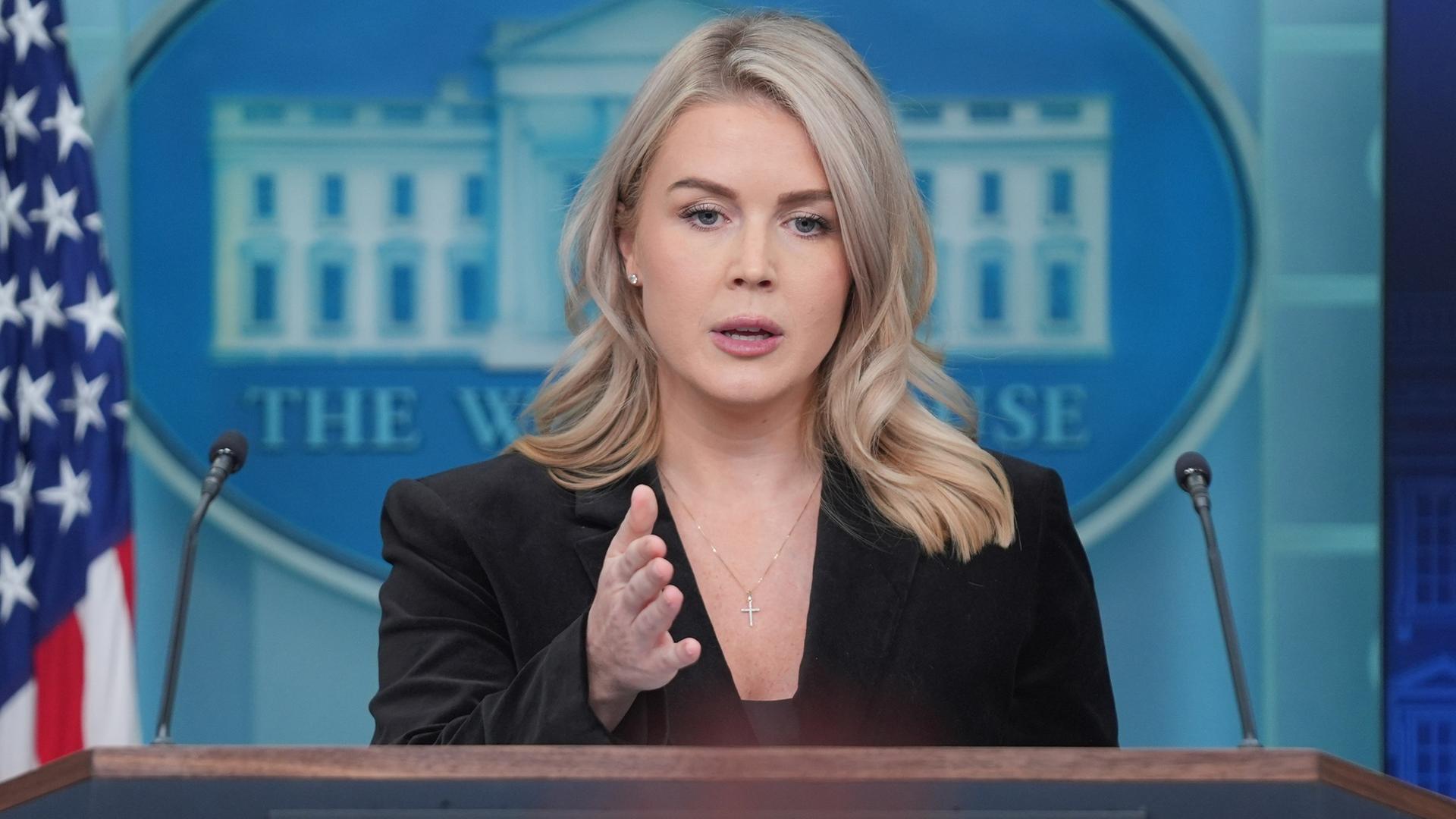 caroline leavitt 100