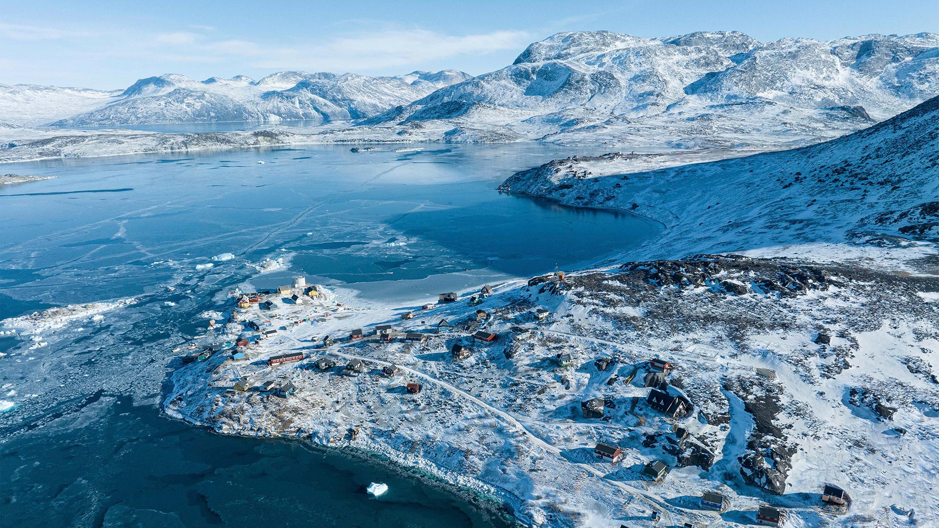 groenland kapisillit 100