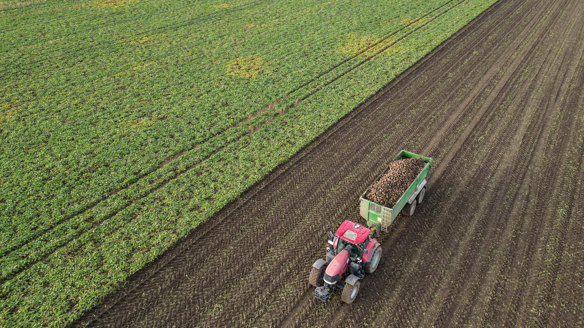 landwirtschaft ernte 104