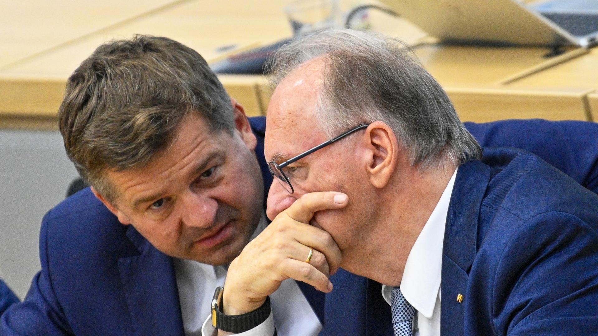 schulze haseloff 100