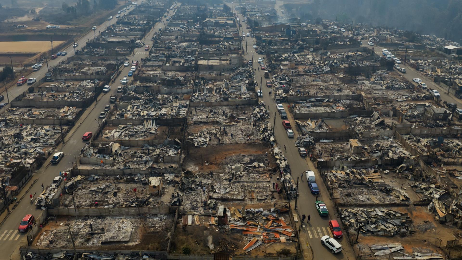 tome chile brand 100