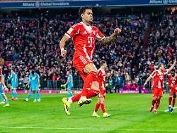 08 02 2026 fc bayern muenchen vs tsg hoffenheim 1 bundesliga 21 spieltag tor zum 3 1 durch luis diaz fc bayern muenchen 14 wichtiger hinweis gemaess den vorgaben der dfl deutsche fussball liga bzw