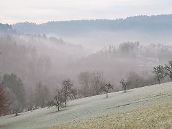 10 02 2026 baden wuerttemberg schoenau fruehnebel liegt in einer talsenke