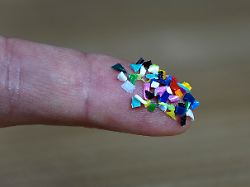 19 04 2024 borkwalde brandenburg auf einem zeigefinger befindet sich mikroplastik