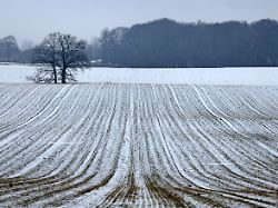 auf einem acker taut der schnee die furchen von der bearbeitung des bodens tauchen wieder auf