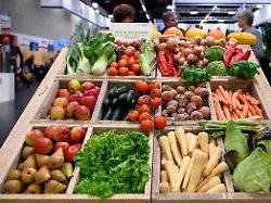 bio lebensmittel obst und gemuese sind zu sehen auf der biofach 2025 der weltweit fuehrenden fachmesse fuer bio lebensmittel in der messe nuernberg nuernberg 17 02