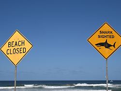 der strand ist gesperrt nach einem toedlichen haiangriffs am long reef beach dee why vor der kueste sydneys ist ein surfer von einem hai attackiert und toedlich verletzt worden