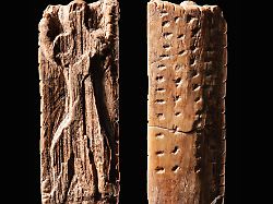 fig 01 adorant vs schwarz