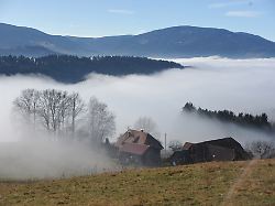 germany black forest baden wuerttemberg february 8 2026 winter