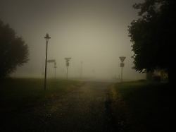 nebel kreuzung im nebel dresden helfenberg sachsen deutschland fog crossing in the fog dresden helfenberg saxony germany copyright xrayxvanxzeschaux