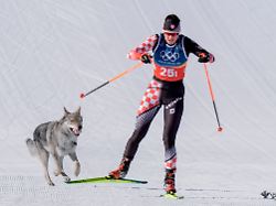 olympia olympische winterspiele mailand cortina 2026 ski nordisch langlauf team sprint freistil frauen qualifikation ein hund laeuft hinter tena hadzic kroatien her