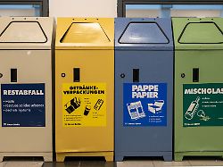 papier und pappe gehoeren in die blaue tonne logisch