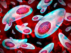 toxoplasma outbreak and toxoplasmosis parasite infection gondii parasites found in cat intestines or raw meat and feces or undercooked meats as a dang