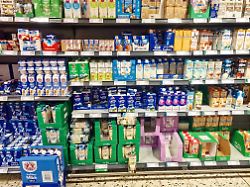 verschiedene milchsorten laktosefrei h milch fettarme milch hafermilch und mandelmilch im kuehlregal eines supermarktes 1104401339