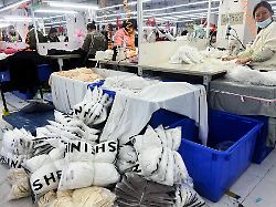 workers work at a production line manufacturing clothing for shein at a factory in guangzhou guangdong province china april 1 2025