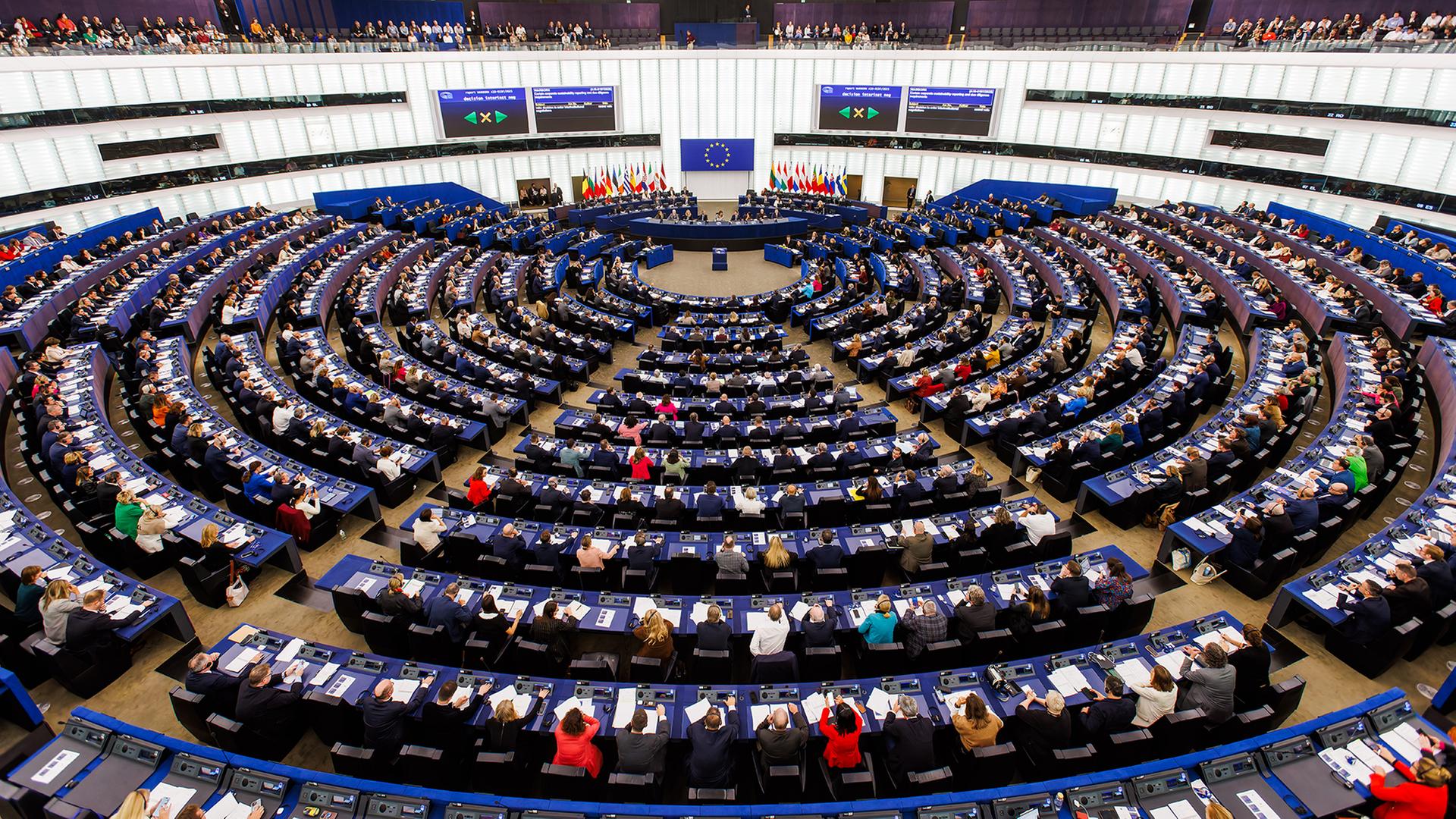 eu parlament 250