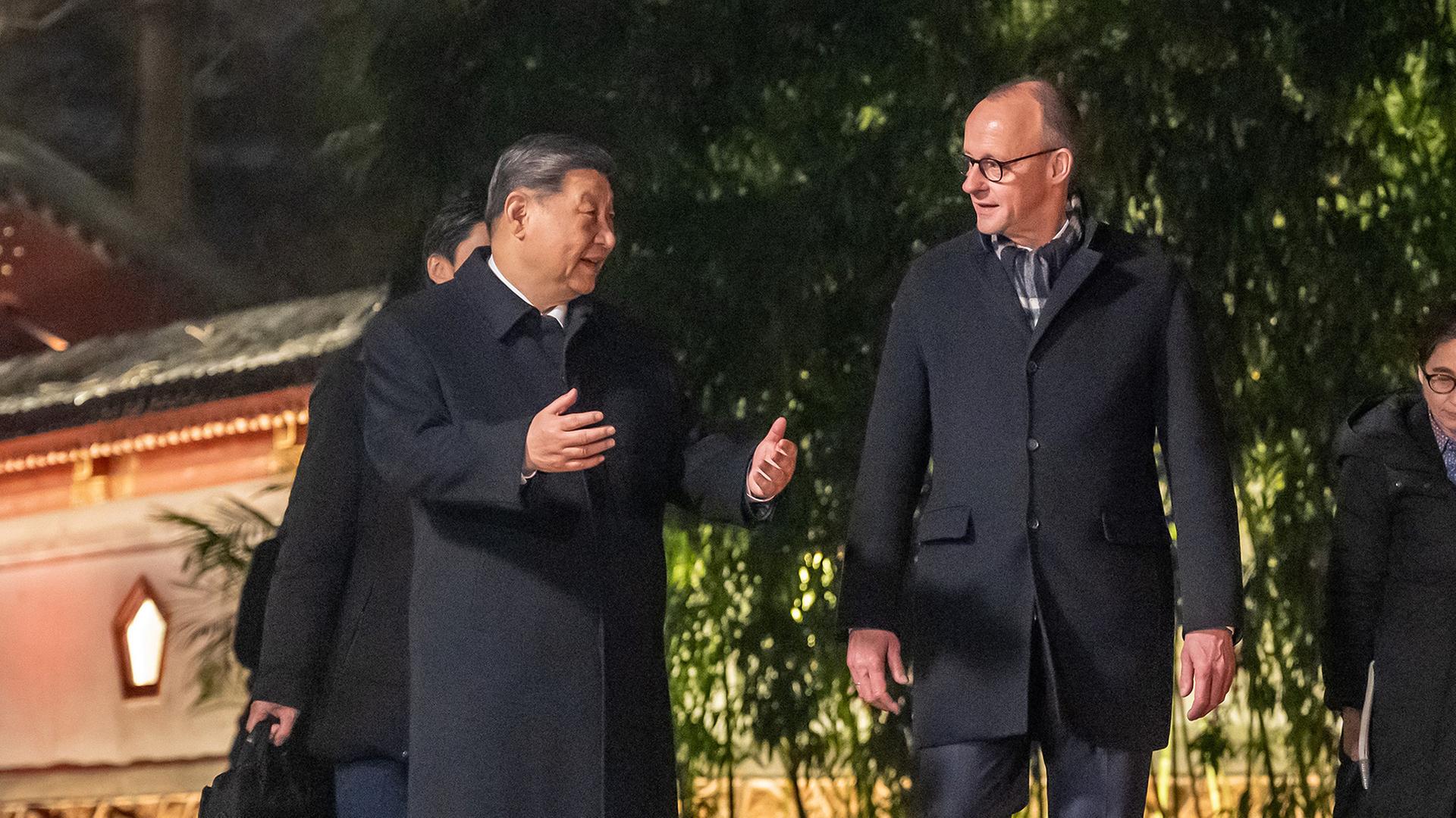 friedrich merz xi jinping 100