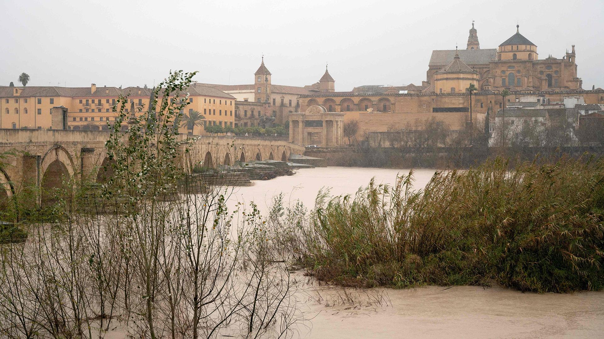guadalquivir cordoba 100