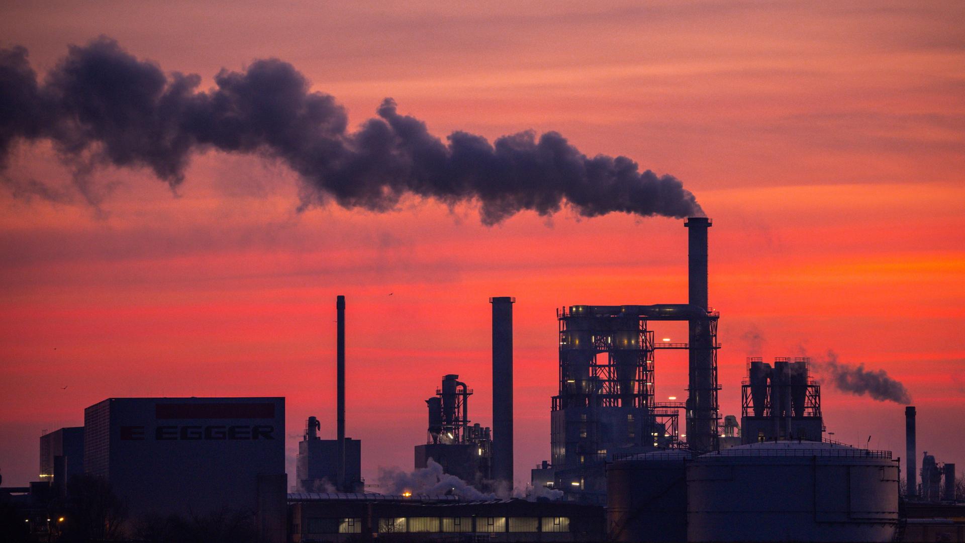 holzwerke wismar 100