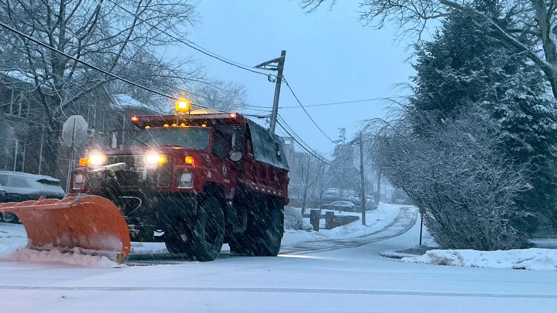 new jersey schnee 100