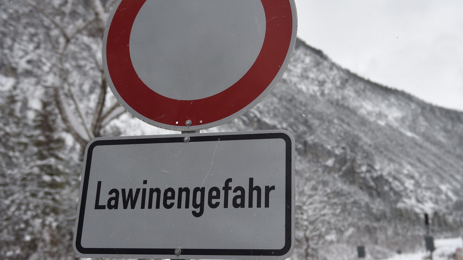 schild lawinengefahr 100