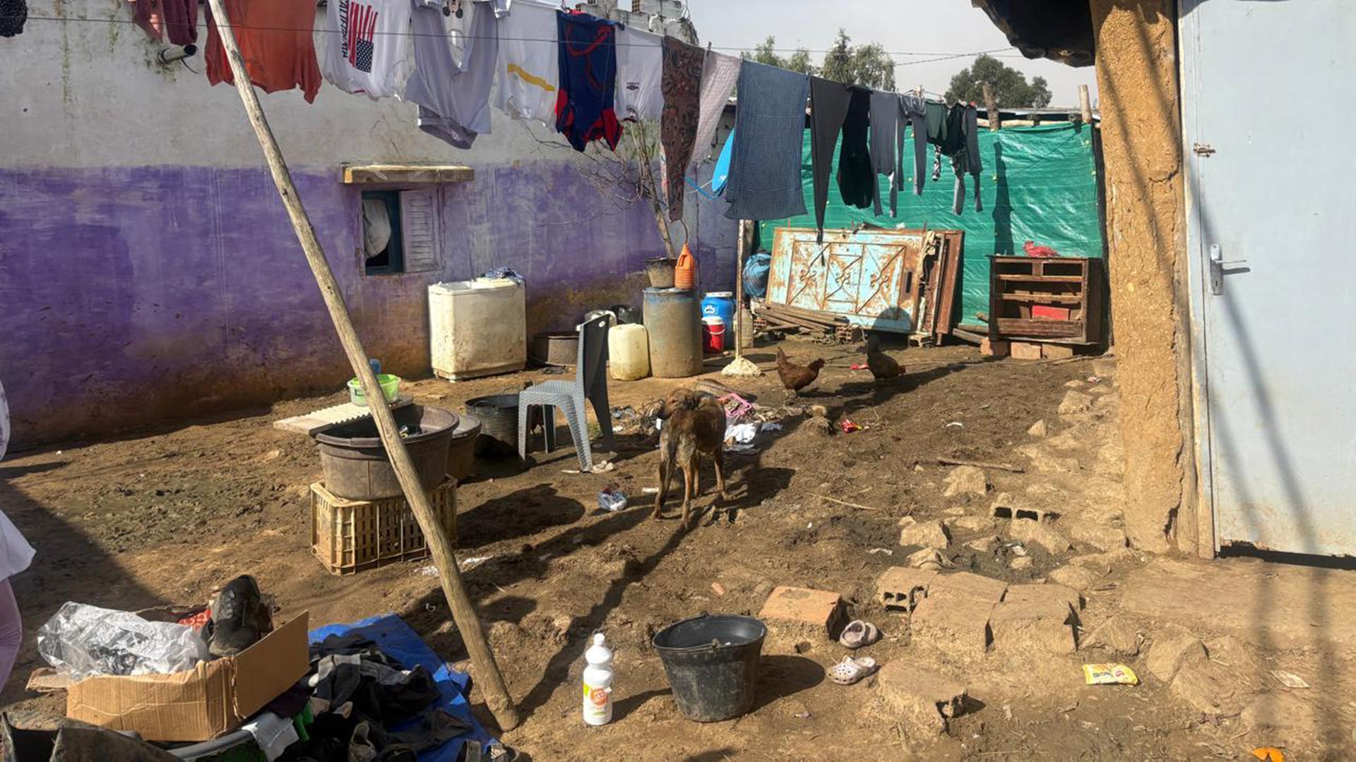 schlamm hinterhof 100