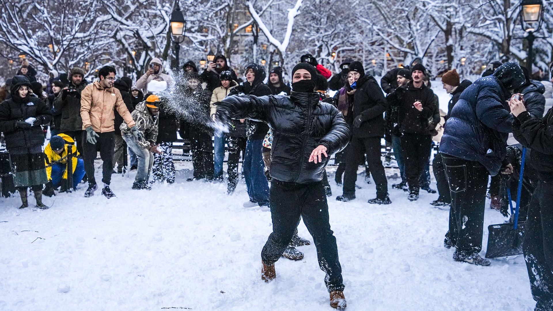 schneeballschlacht park new york 100