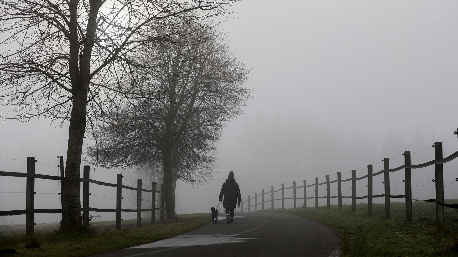 spaziergang nebel 104