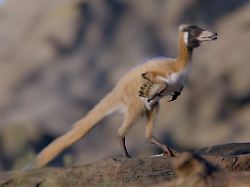 urn binary dpa com 20090101 260223 99 623959 filed masonry