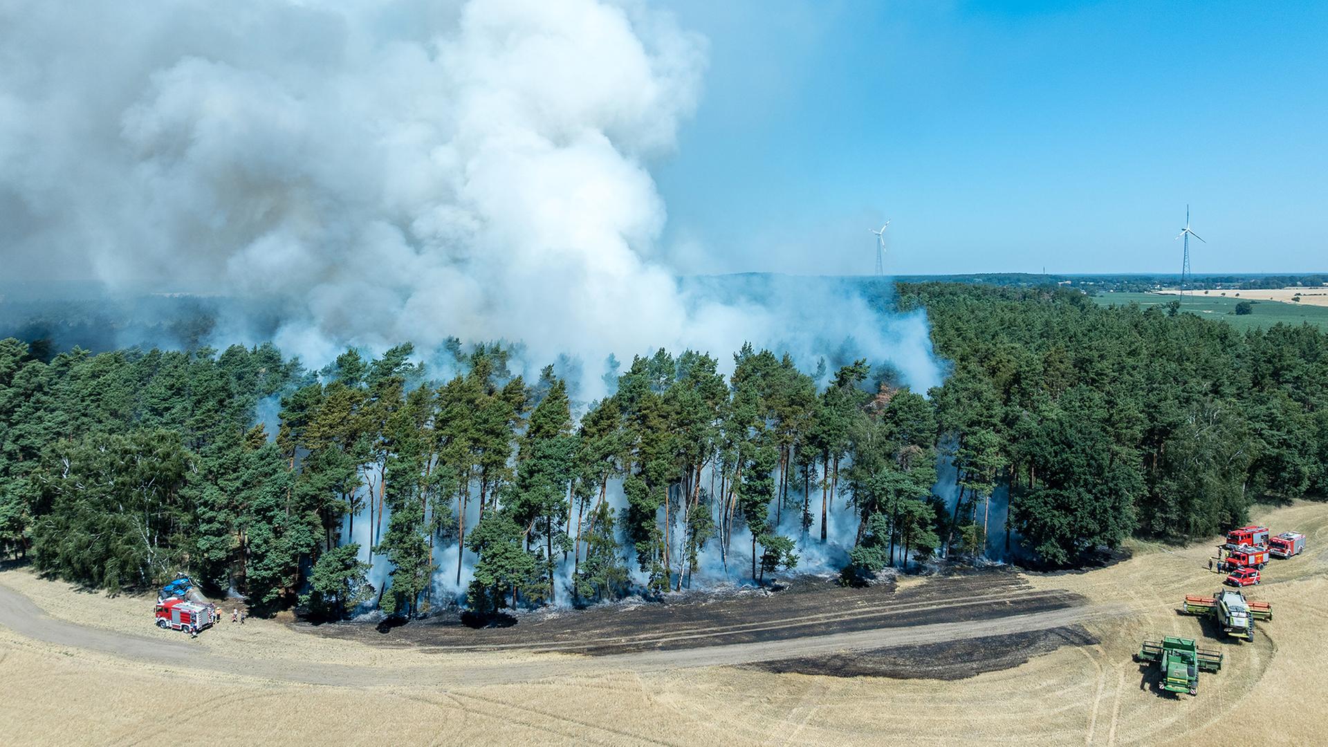 waldbrand feuerwehrfahrzeuge 100