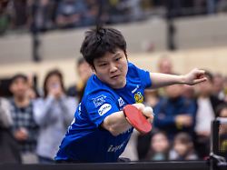 12 01 2026 tischtennis saison 2025 2026 12 spieltag ttbl borussia dortmund 1 fc saarbruecken tt fan zhendong 1