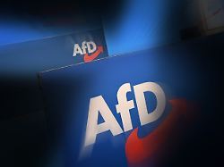 afd logo logos
