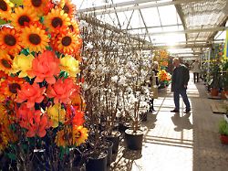 bildnummer 50457899 datum 30 03