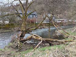 blick auf ein gelaende an der sieg in siegen eiserfeld ein kindergartenkind ist in siegen beim spielen in die sieg gefallen