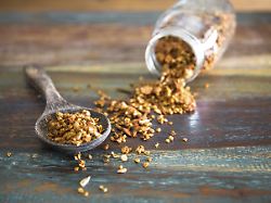 crunchy pumpkin granola publicationxinxgerxsuixautxhunxonly mbef01447