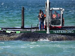 ein schwimmbagger arbeitet an einem gestrandeten wal in der ostsee experten versuchen erneut den vor timmendorfer strand festsitzenden buckelwal freizubekommen 1