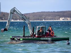 ein schwimmbagger arbeitet an einem gestrandeten wal in der ostsee experten versuchen erneut den vor timmendorfer strand festsitzenden buckelwal freizubekommen