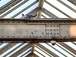 eine ueberwachungskamera am bahnhof kottbusser tor