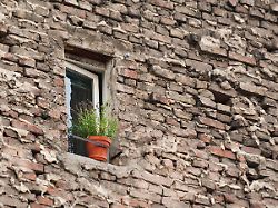 fenster mit aussicht eine gruene topfpflanze steht vor einem sehr schmalen fenster in einer kahlen brandmauer aus unverputzten ziegelsteinen aufgenommen in berlin im oktober 2010