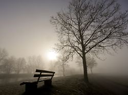 hinter einer bank scheint am morgen an der donau die sonne