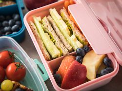 illustration eine brotdose mit vollkorn toast belegt mit gurkenstreifen maasdammer kaese und salat dazu blaubeeren und apfelschnitze ist am 25 08 2023 in wittenberge zu sehen gestellte szene