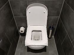 kann nach hinten losgehen die klobrille mit toilettenpapier auszulegen ist keine gute idee sagt ein hygiene professor