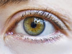 nahaufnahme des haselnussbraunen auges einer frau ohne make up