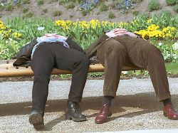 pause zwei besucher der bundesgartenschau in potsdam bei einem nickerchen potsdam den 01 06