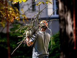 profi fuer die gartenarbeiten engagiert dann sollten zumindest teile der kosten steuerlich absetzbar sein