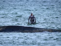 robert marc lehmann biologe untersucht einen gestrandeten wal in der ostsee heute soll ein neuer rettungsversuch fuer das tier unternommen werden