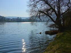 ruhiger see mit sonnenreflexionen im wasser und einem baum am ufer bei klarem himmel faulbach main spessart bayern deutschland